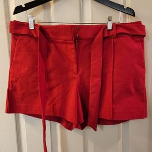 LOFT shorts - women's size 14